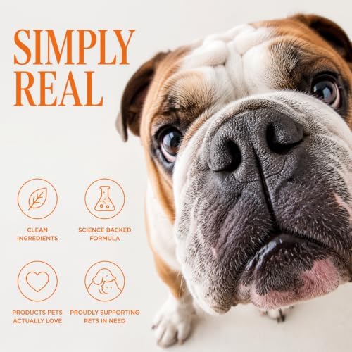 Probiotics for Dogs – Support Gut Health, Yeast Balance, Skin Comfort & Immunity – with Prebiotics & Digestive Enzymes – Chicken Flavor, 90 Soft Chews