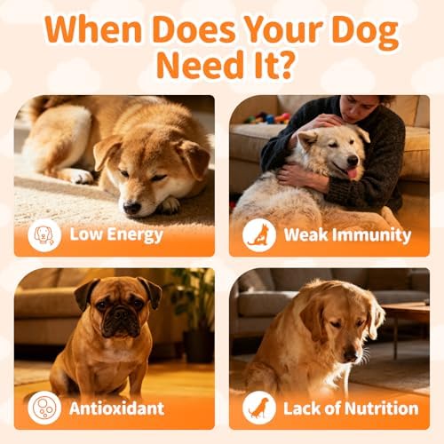 Dog Multivitamin Powder – Energy, Gut & Immune, Beef, 75 Scoops | Dog Vitamins and Supplements, Antioxidants, Skin & Coat for Homemade Food with L-Carnitine, Taurine, Probiotics