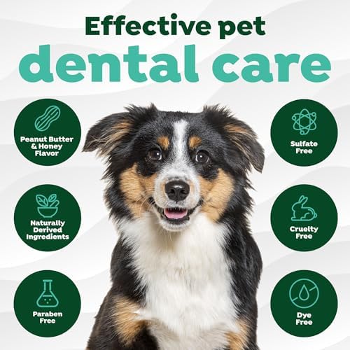 TropiClean Fresh Breath Dog Toothpaste, Peanut Butter & Honey, 2oz | Freshens Breath & Cleans Teeth | Peanut Butter & Honey Flavor | 2oz