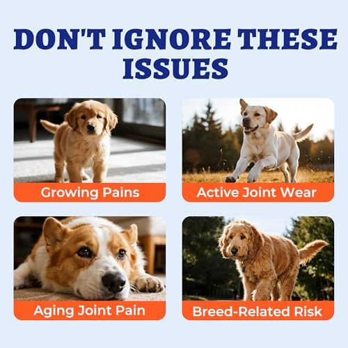 Wellix Dog Hip and Joint Supplement 9.17oz, with Glucosamine Chondroitin