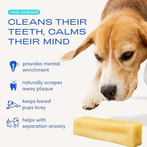 Native Pet Yak Cheese Himalayan Dog Chews - Long Lasting Dental Sticks for Medium Breeds – 100% All Natural Himalayan Yak Chews for Medium Dogs – Cheese Bone for Aggressive Chewers - 3 Per Pack