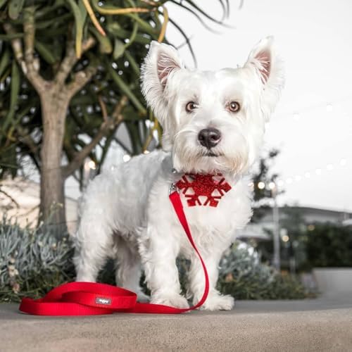 Blueberry Pet Snowflakes Christmas Dog Collar, Medium, Adjustable 14.5"-20" Neck, Glitter Décor & Bow, Durable Eco-Friendly Holiday Collar