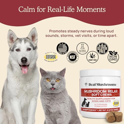 Calming Chews for Dogs & Cats, 60-Pack, 1 Chew
