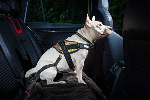 Julius-K9 Seat Belt Connector, Size 2, Black/Gray