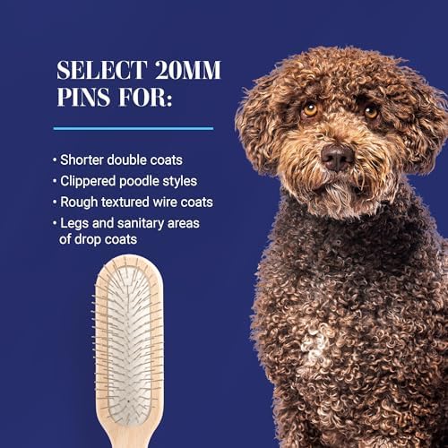 Chris Christensen 27 mm Oblong Pin Dog Brush, Stainless Steel, Brown