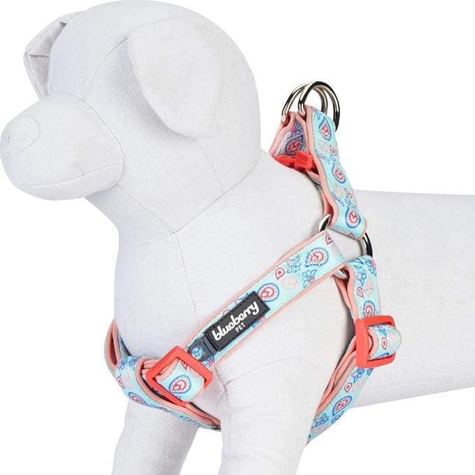 Blueberry Pet 5 Colors Soft & Comfy Step-in Paisley Flower Print Dog Harness, Chest Girth 16.5" - 21.5", Pastel Blue, Small, Adjustable Harnesses for Dogs