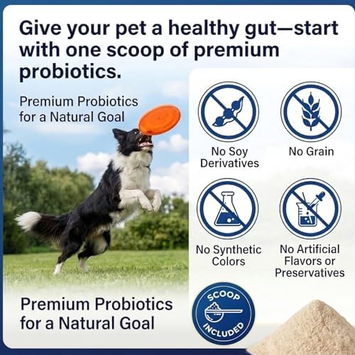 Natural Probiotic Powder for Dogs - Vet Formulated Digestive & Gut Health Supplement with 15 Probiotic Strains & 6 Billion CFU, Supports Immunity, Energy Levels, Skin and Coat Health, 30 Scoops
