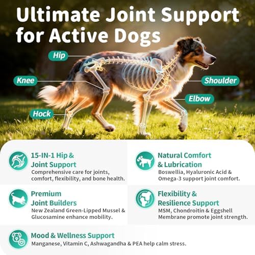 Advanced Dog Joint Supplement – 15-in-1 Glucosamine for Dogs with Chondroitin, MSM & Green Lipped Mussel – Hip & Joint Pain Relief Mobility Chews, Beef Flavor, 90Ct Breeds