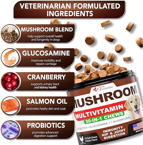 Turkey Tail Mushroom for Dogs - 170 Chews - Mushroom Supplement for Dogs | Lion's Mane, Reishi, Shiitake, Immunity Support Multivitamin Vitamins for Joint Health, Energy, Gut, Skin & Coat, Made in USA