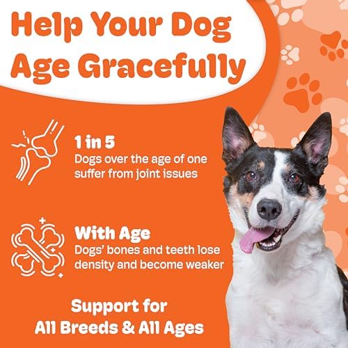 Boneo Canine Lactoferrin for Dogs, Bone & Joint Supplement for Dogs, Lactoferrin Dog Chews for Bone Strength, Joint Health, Mobility & Dental Support, Liver & Sausage Flavor, 90 Ct Dual Pack