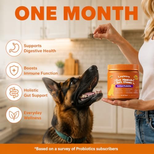 Probiotics for Dogs – Support Gut Health, Yeast Balance, Skin Comfort & Immunity – with Prebiotics & Digestive Enzymes – Chicken Flavor, 90 Soft Chews