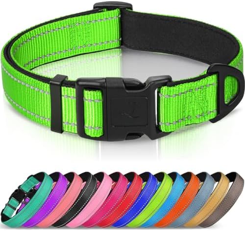Joytale Reflective Dog Collar, Adjustable Neoprene Padded, Green M