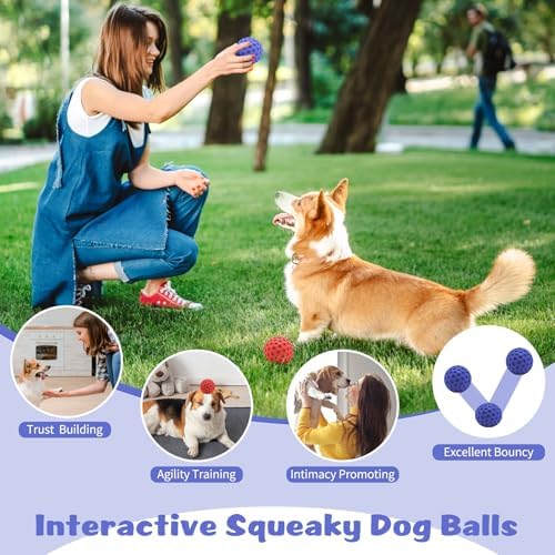 HIPPIH Indestructible Squeaky Dog Toys, Interactive Dog Balls 2 Pack | Chew Toys for Aggressive Chewers, Natural Rubber, Large/Medium Dogs, Tough Puppy Teething Toy, Relieve Anxiety