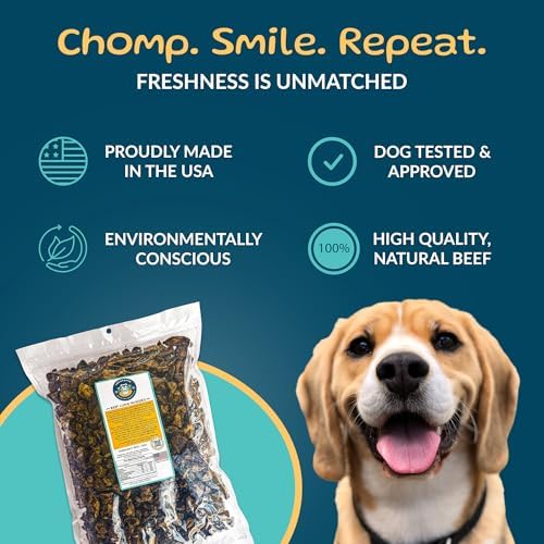 TREATOPIA Beef Lung Nuggies Dog Treats, 2 LB Bag - All-Natural