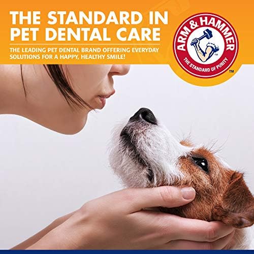 Arm & Hammer Tartar Control Enzymatic Dog Toothpaste, Beef, 2.5 Oz, 72-Pk | Enzymatic baking soda formula, meat flavor, plaque and tartar reduction, all dogs and puppies