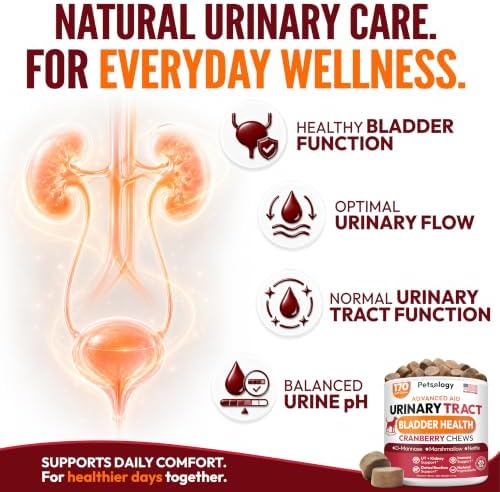 Dog UTI Treatment - 170 Cranberry Chews for Dogs - Urinary Tract Infection | Bladder & Kidney Health Multivitamin, Cranberry Supplement for Dogs with D-Mannose, Dog Vitamins and Supplements, Made in USA