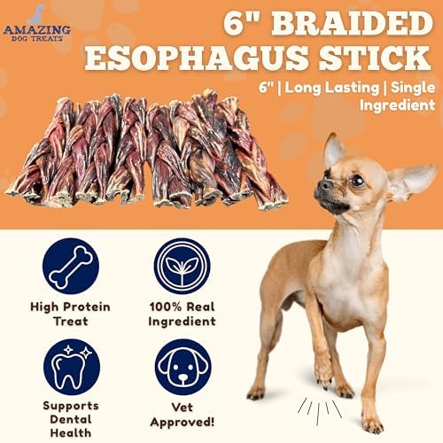 Amazing Dog Treats - 6 Inch Braided Gullet Stick (4 Pc/Pack) - Dog Jerky Treats - Beef Esophagus -Gullet for Dogs - Beef Esophagus Dog Treats