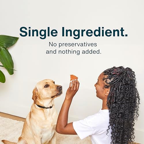 JustFoodForDogs Single Ingredient Jerky Dog Treats - Pork, 5oz (Pack of 2)