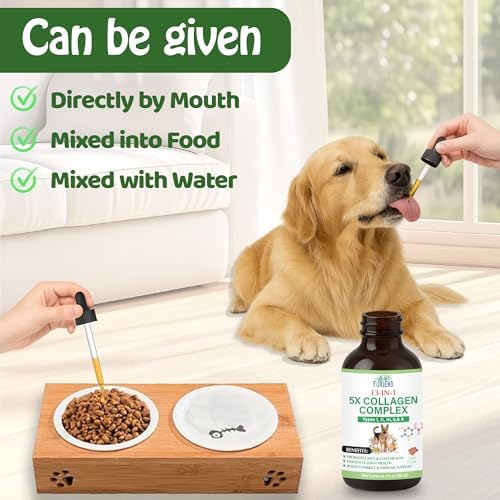 Premium 5X Organic Liquid Collagen for Dogs and Cats | Types I, II, III, V & X Collagen Peptides, MSM and Biotin for Joint, Skin, Coat Health & Immunity | Bacon Flavor 2 fl oz