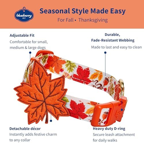 Blueberry Pet Thanksgiving Fall Maple Adjustable Dog Collar with Detachable Accessory, Large, Neck 18"-26"