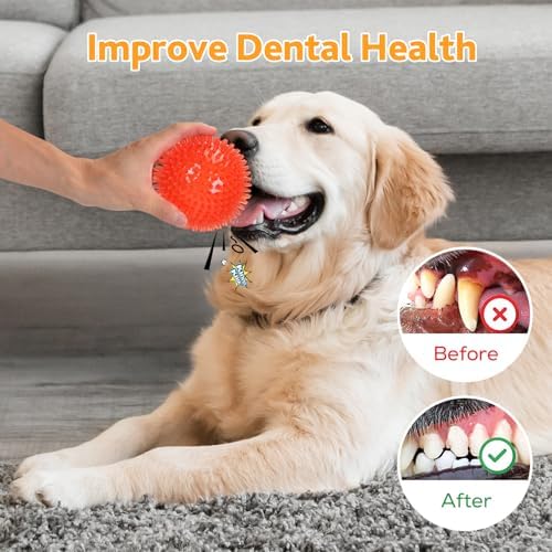petizer Squeaky Dog Toy Balls, Floating, 2.5in, 6-Pack, Small