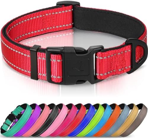Joytale Reflective Dog Collar, Adjustable Neoprene Padded, Red XL