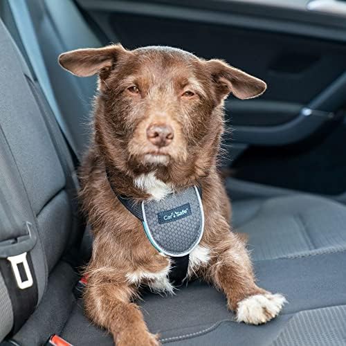 CarSafe Dog Travel Car Harness, Size S