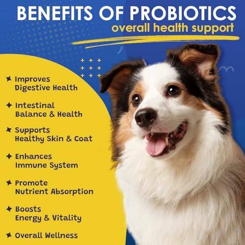Probiotics for Dogs Digestive Health, 120 Bites, Chicken Flavored