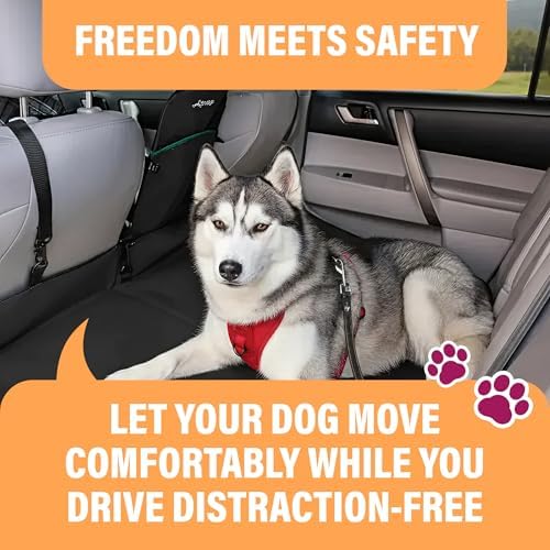Active Pets Car Seat Belt for Dogs - Black, 2-Pack, 18-24in
