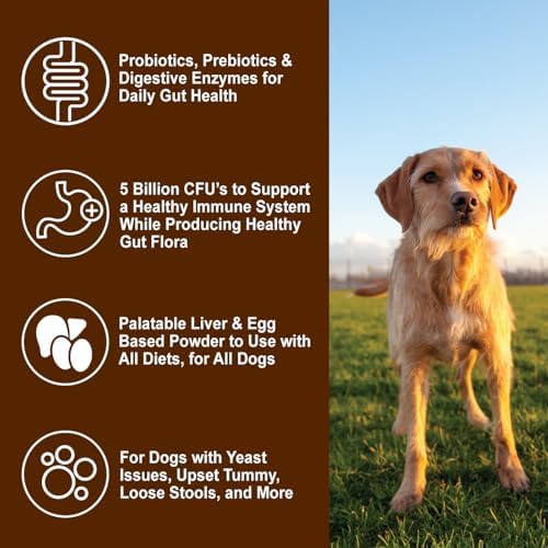 Dogzymes Probiotic Daily Balance - Supplies Nutritional Support and Live microorganisms for intestinal Well-Being as Well as enzymes for Proper Digestion. Liver and Egg Base. (2 Pound)