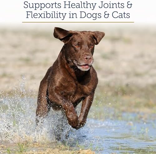Rx Vitamins MegaFlex Cat & Dog Joint Supplement - 600ct