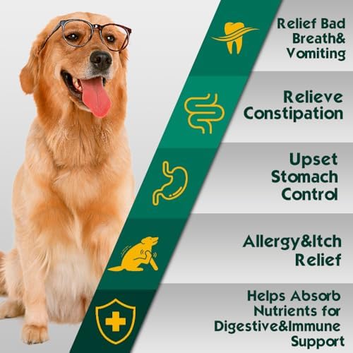 Advanced Probiotic for Dogs, Supports Digestive Health, Immune Health, Gut Health, Improves Nutrient Absorption - Six Strains of Probiotics - Inulin - Enzyme Blend, 90-Count, Bacon