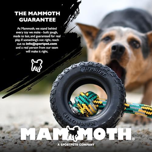 Chew King by Mammoth Glow-in-the-Dark Dog Fetch Balls (2-Pack), Lattice Rubber Fetch Toys for Night Play, High Bounce, Rechargeable Under Any Light, Medium 3.25"