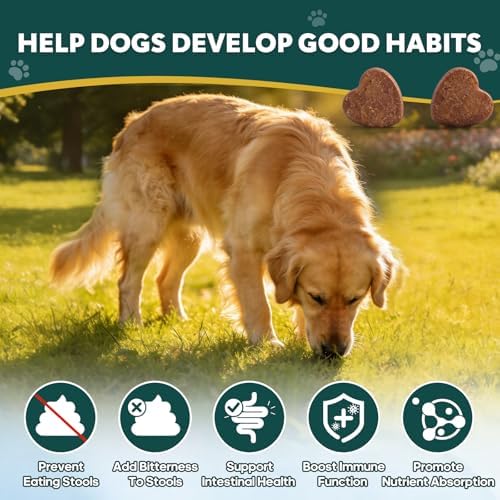 No Poo Chews for Dogs, Gut & Nutrient Support, 120 Ct
