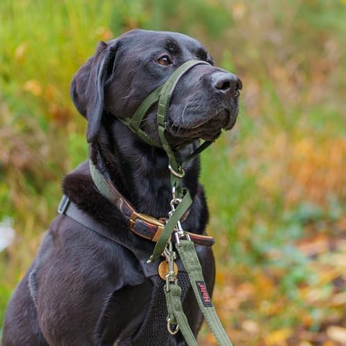 Halti Headcollar | Size 3, Forest Green | Training Collar for Medium Dogs