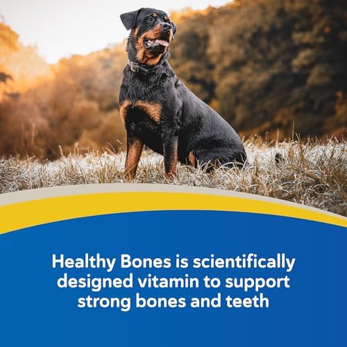 Doc Roy's Healthy Bones Calcium & Phosphorus Powder for Dogs & Cats, 700g
