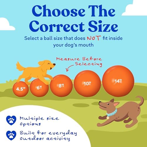 Doggie Dooley Virtually Indestructible Dog Ball - 6 Inch Hard Plastic Interactive Dog Toy for Large Breeds Over 15-50 lbs - Built for Herding & Push Play -Floats in Water, Made in USA -Colors May Vary