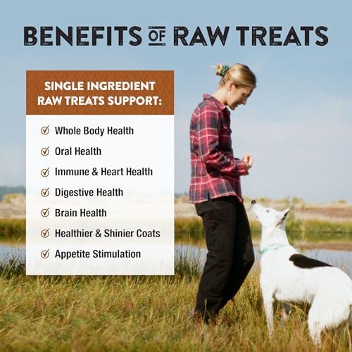 Northwest Naturals Raw Rewards Freeze-Dried Bison Liver Treats - 3oz