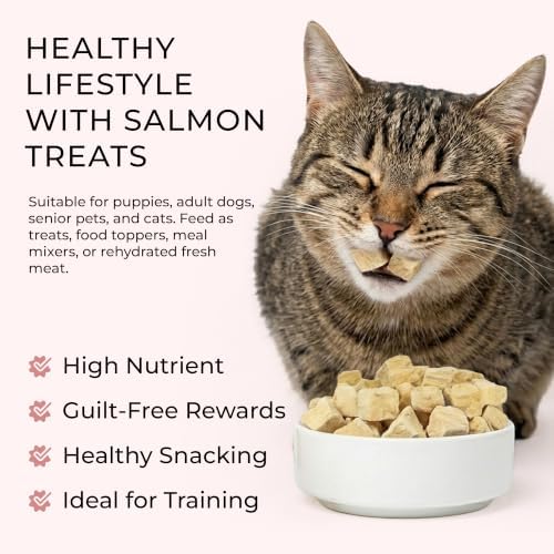 BLACK FOX Freeze-Dried Salmon Treats for Dogs & Cats - 280ct, 4oz