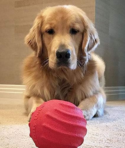 Jolly Pets Tuff Tosser Bouncing Ball Tog Toy/Treat Holder, 4 Inches, Red, All Breed Sizes | Extra-tough treat-dispensing rubber toy with an erratic bounce - cleans teeth, dishwasher safe