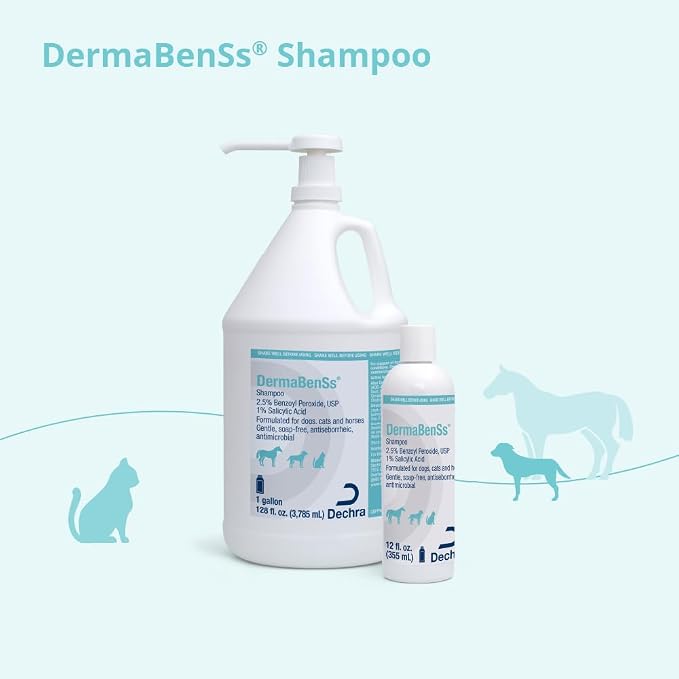 DermaBenSs® Shampoo for Dogs, Cats and Horses, 12 Fl Oz | Gentle, Soap-Free, Antiseboerrhetic, Antimicrobial; 2.5% Benzoyl Peroxide, USP; 1% Salicylic Acid; Packaging May Vary