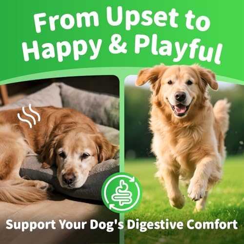 Dog Probiotics & Digestive – Pumpkin Fiber Chews for Gut Health - Chicken Flavor