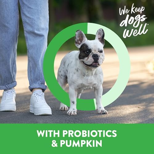 Dogswell Gut Health Lamb Mini Jerky Dog Treats, 16 oz. Jar