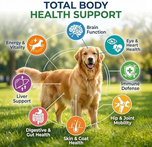 8-in-1 Dog Multivitamin Chews with Probiotics, Glucosamine & Omega 3 | Tasty daily soft chews help support overall wellness, digestion, mobility and a healthy coat for dogs of all ages.