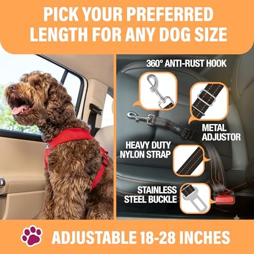 Active Pets Car Seat Belt for Dogs - Orange, 18-24in