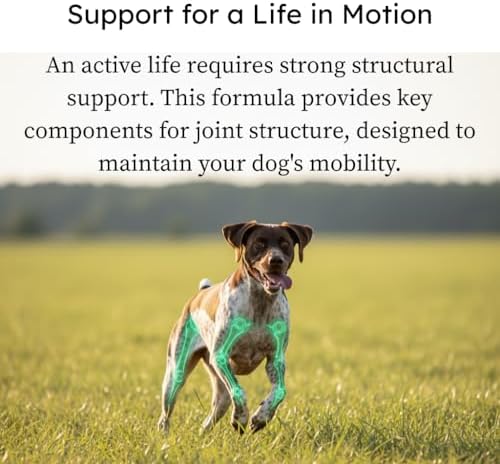PetCultures Hip & Joint Tribiotic Dog Supplement Powder – Glucosamine, Chondroitin, MSM, and Gut-Joint Axis Support (10)
