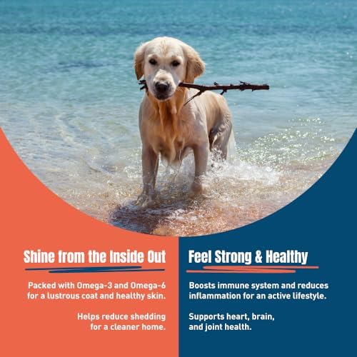 Wild Salmon Freeze-Dried Dog Treats, 8 oz – Single Ingredient, Grain-Free, High-Protein, All-Natural, Rich Omega-3s, Made in USA.