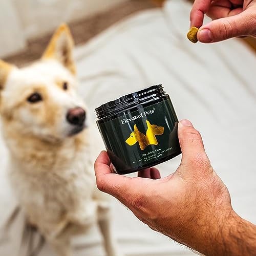 Fish Oil for Dogs - Omega 3 Skin & Coat Supplement with Glucosamine, Chondroitin, MSM & Turmeric - Hip & Joint Support Chews, EPA/DHA Dog Vitamin for Allergy Relief, 90 Soft Chews
