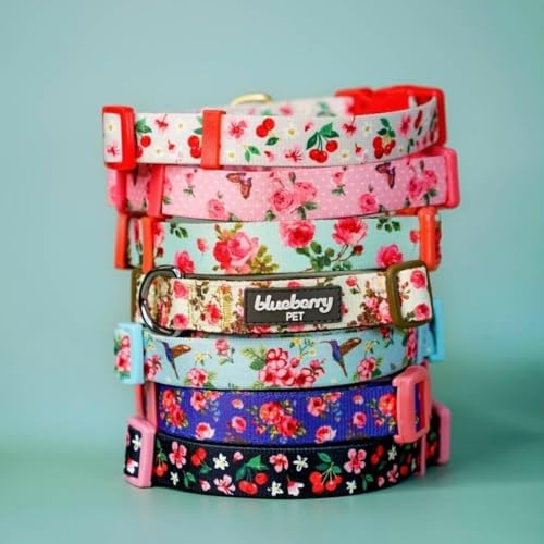 Cherry Garden Dog Collar with Dainty Flowers