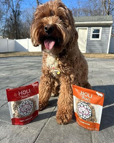 HOLI Freeze Dried Beef Liver Dog Treats – Single Ingredient Beef Dog Treats – Pasture Raised Liver Dog Treats Made in USA – Healthy Liver Treats for Dogs & Diabetic Dog Treat-Friendly - 4oz